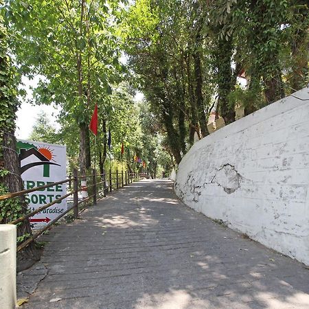 Oyo 5248 Surbee Resorts Mussoorie Kültér fotó